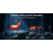 Termowizja